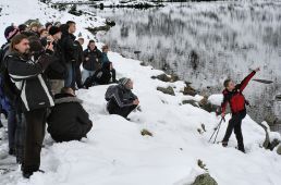 Czarny Staw Gąsienicowy